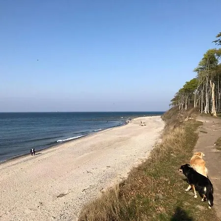 Near Seabeach Apartment Rostock